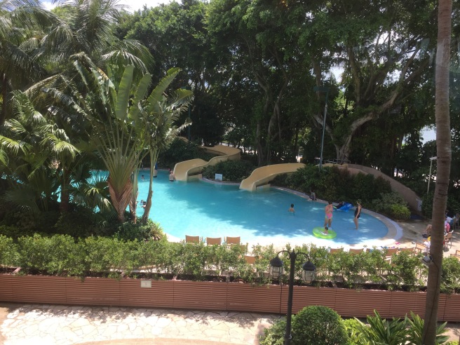 a pool with slide and trees