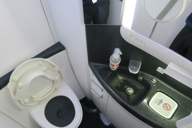 a bathroom with a sink and a toilet