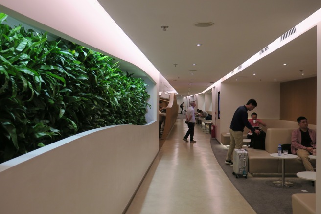 a long hallway with plants in the wall