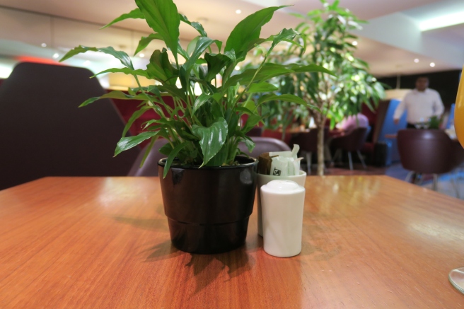 a plant in a pot next to salt and pepper shakers