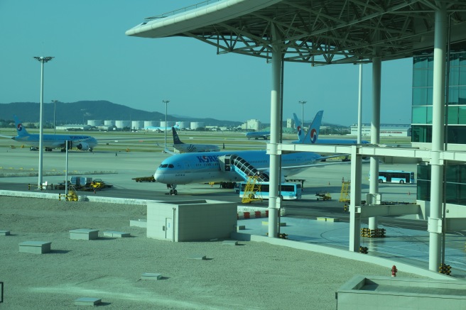 a group of airplanes at an airport