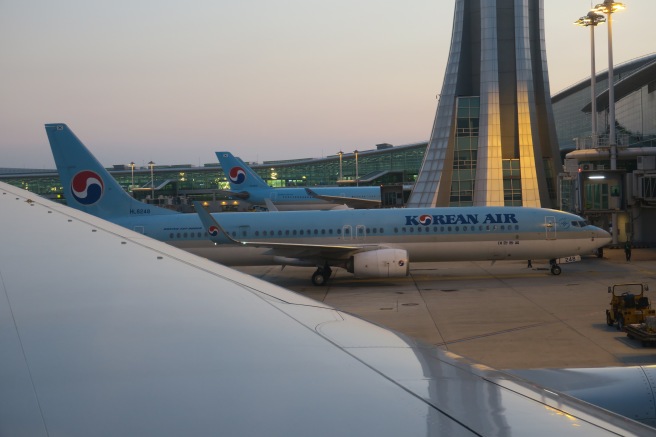 a group of airplanes parked at an airport