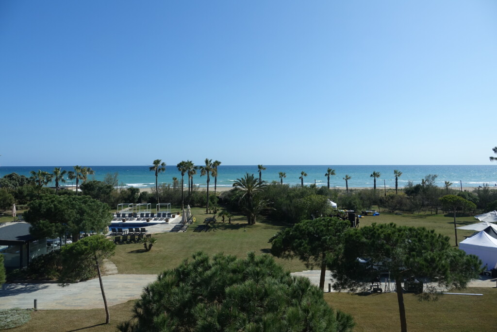 a beach with trees and a body of water