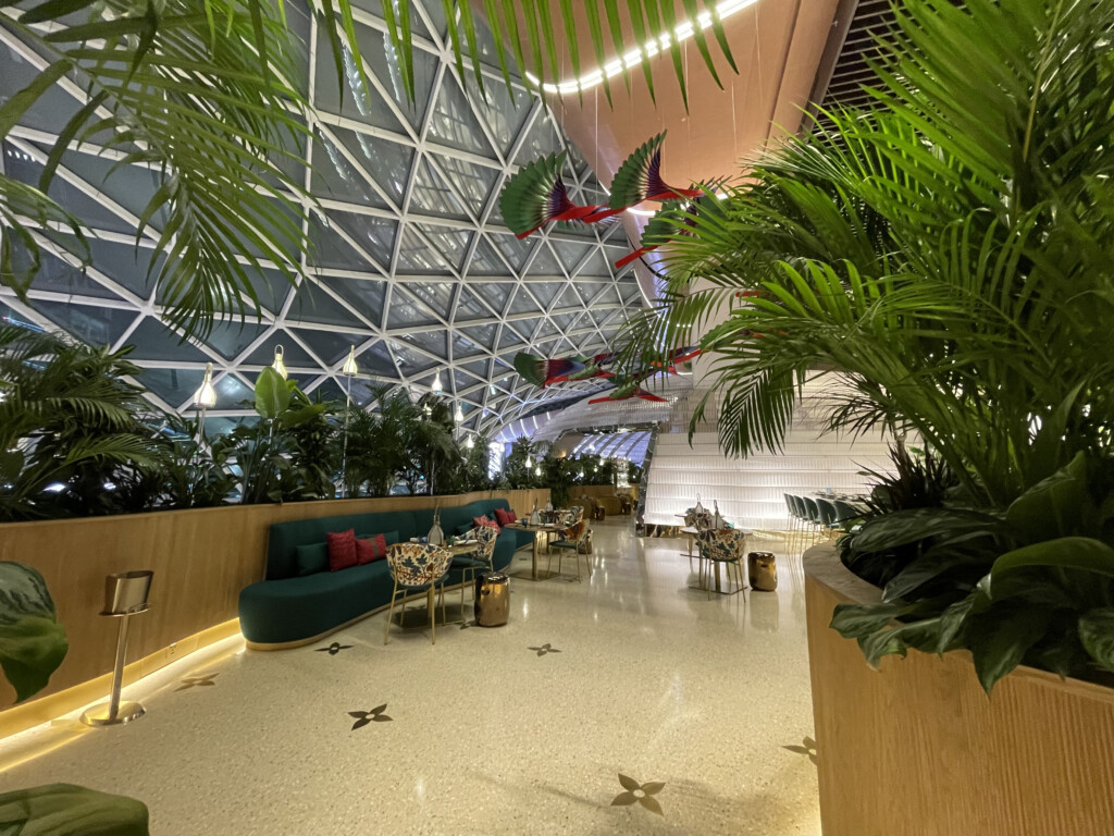 a room with plants and a glass ceiling