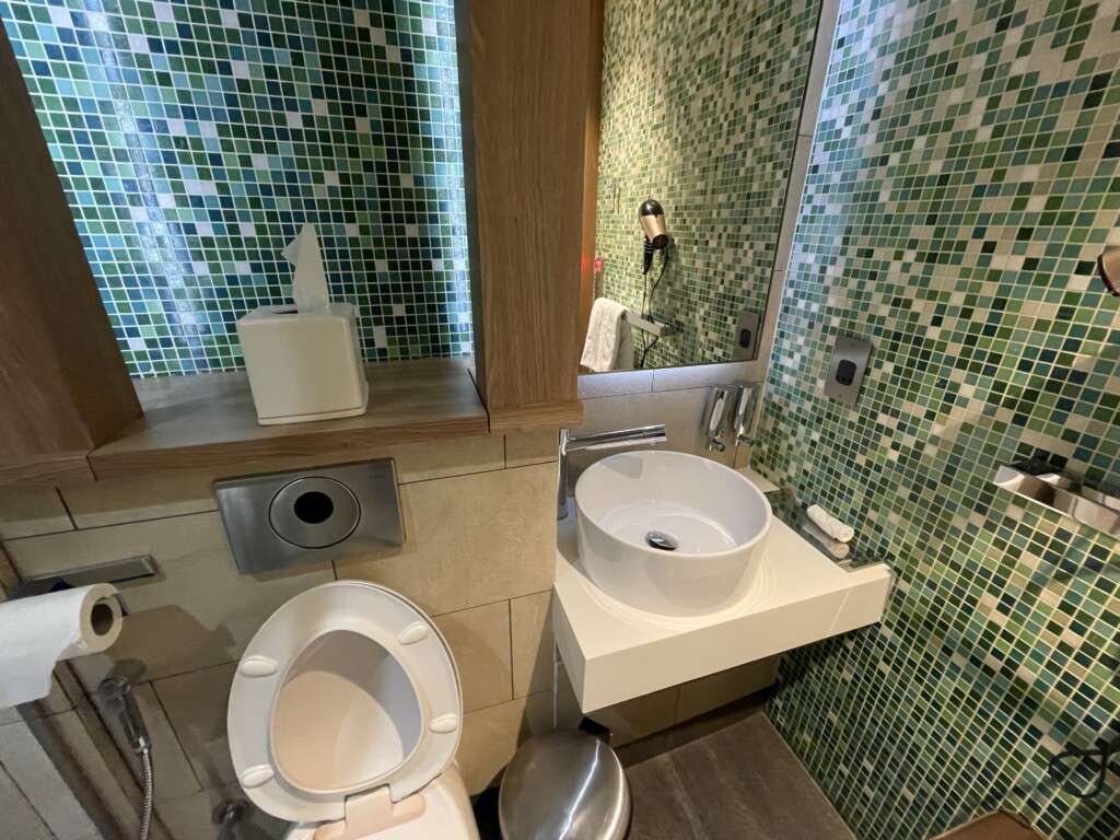 a bathroom with a sink and toilet