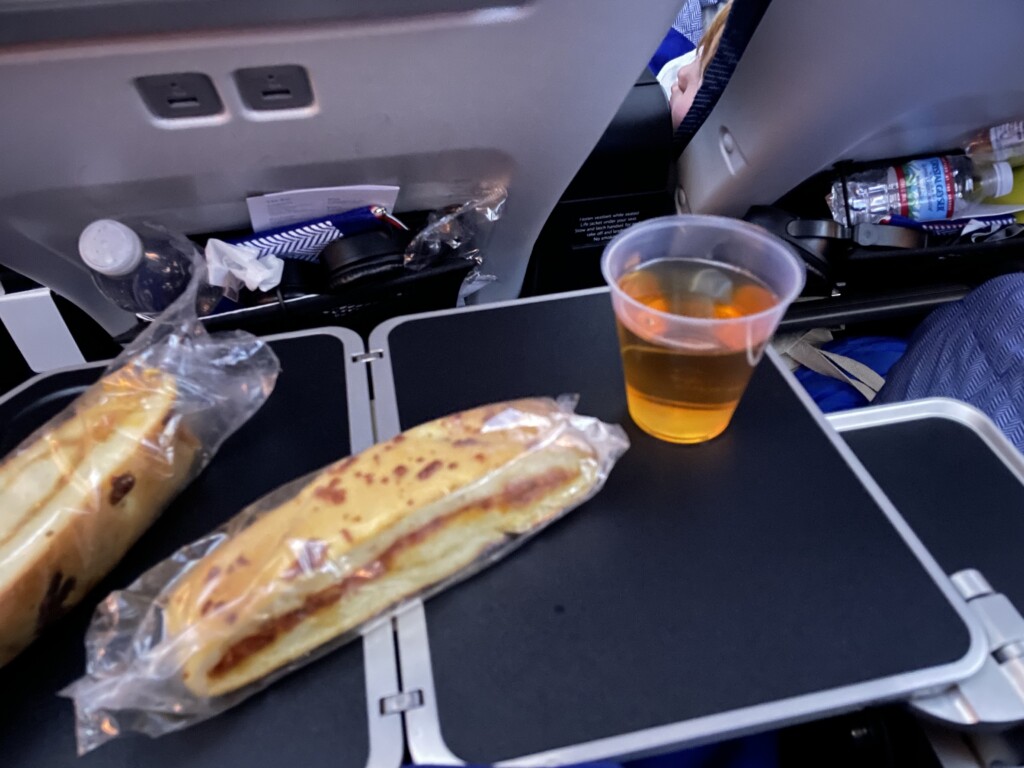 food on a tray on a plane