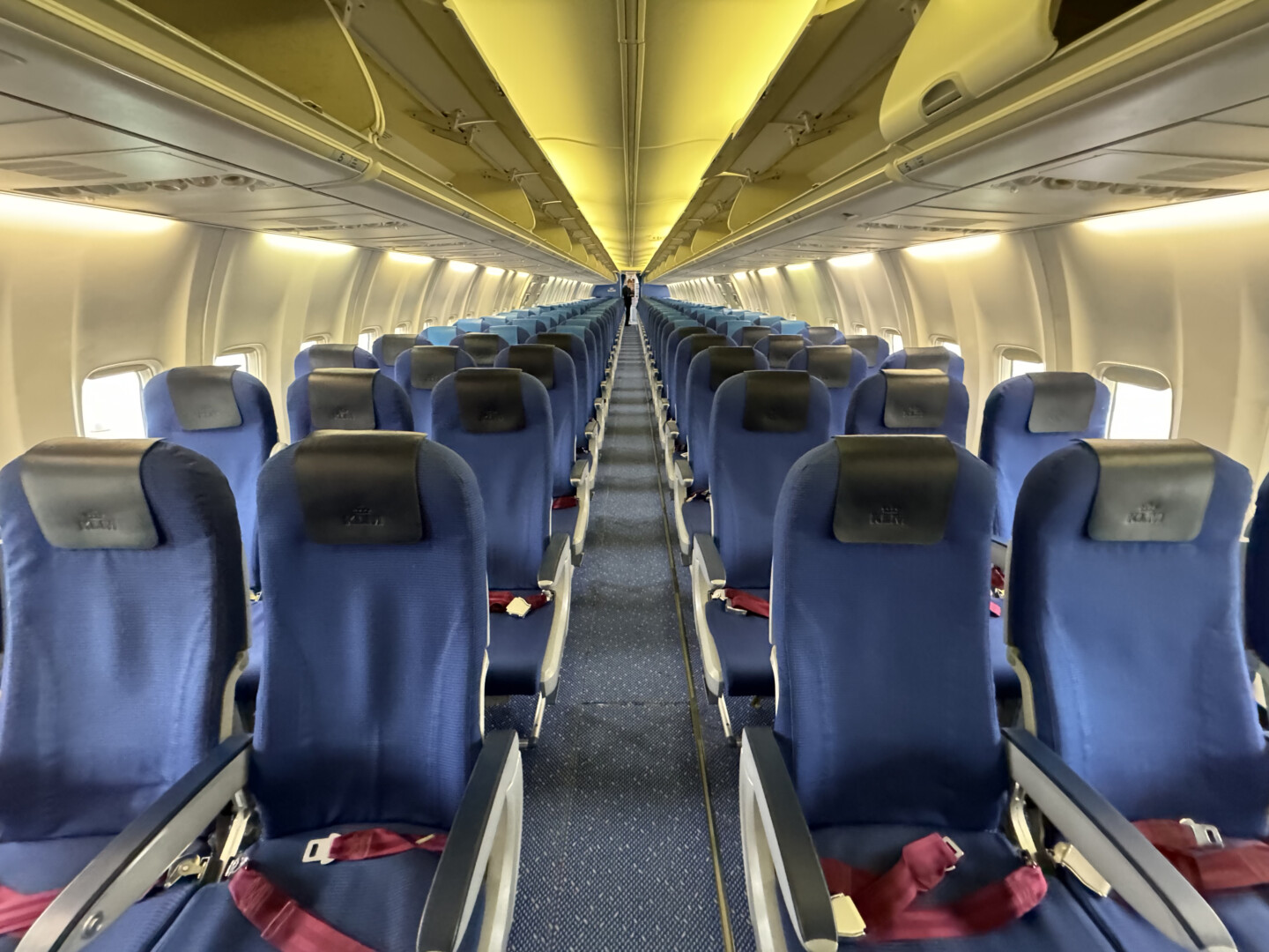 a row of blue seats on an airplane