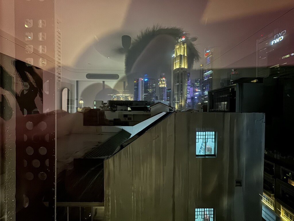 a city skyline seen through a window