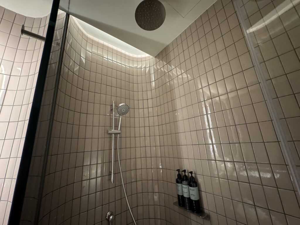 a shower with a shower head and bottles of liquid on the wall