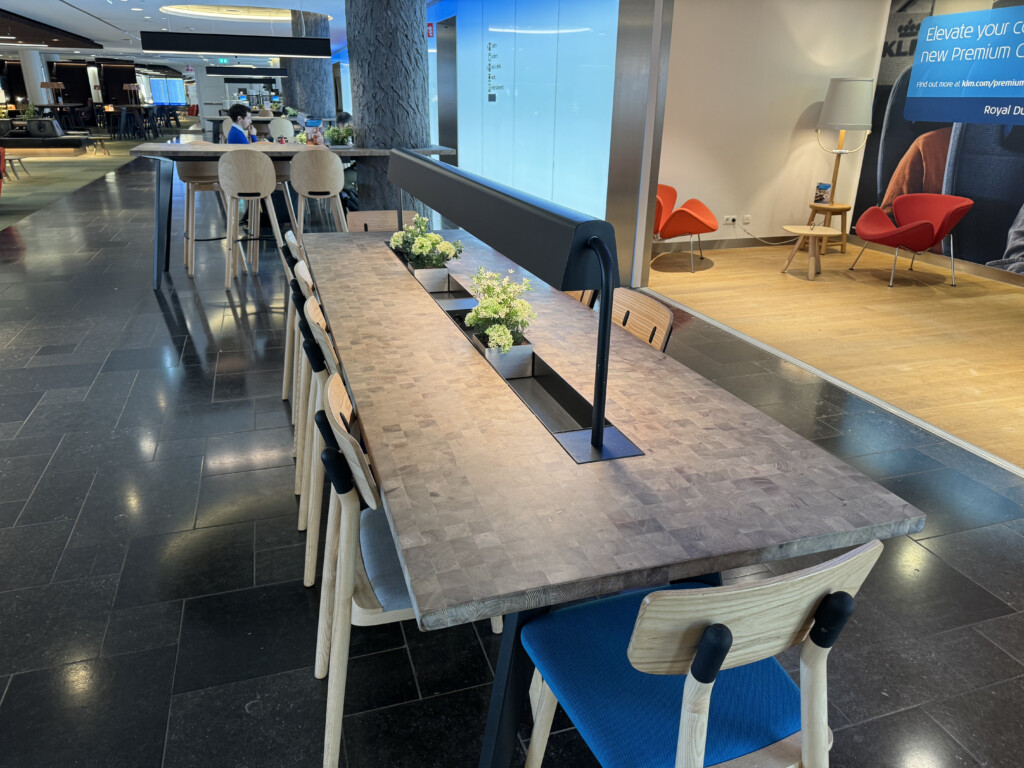 a long table with chairs and a plant on it