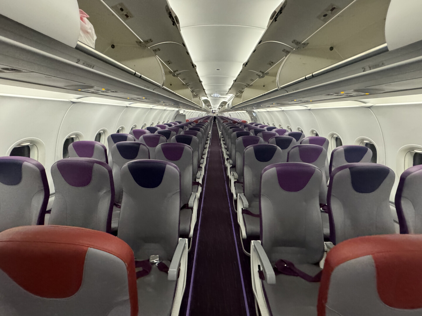 rows of seats in an airplane