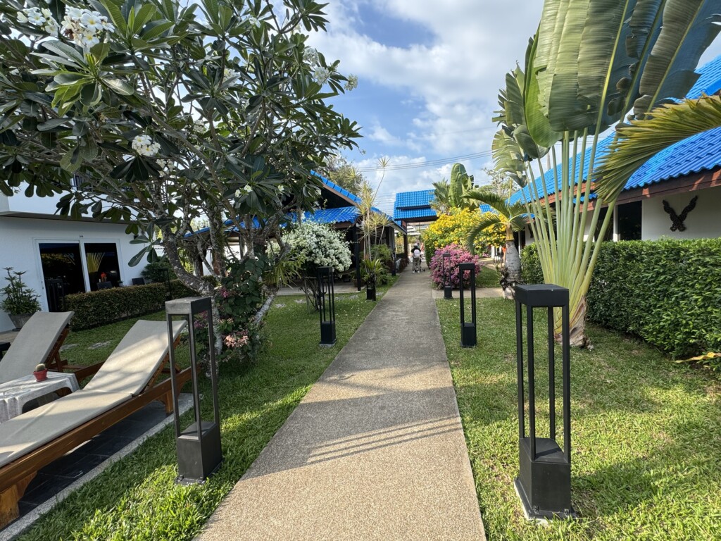 a walkway with plants and trees