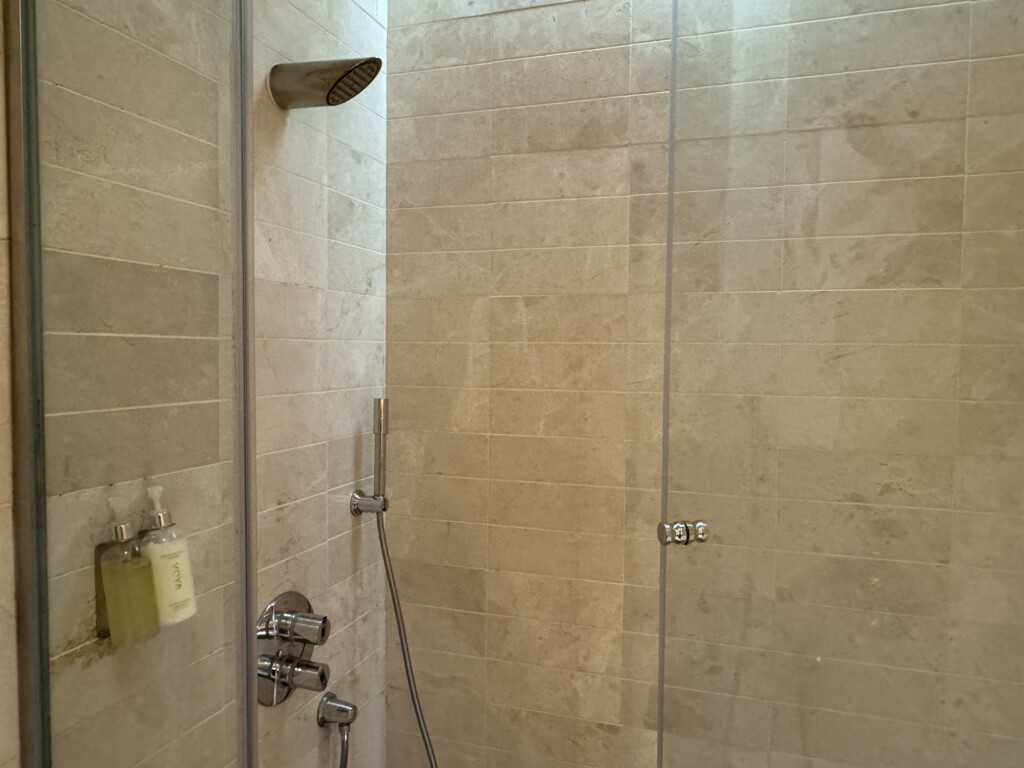 a shower with a shower head