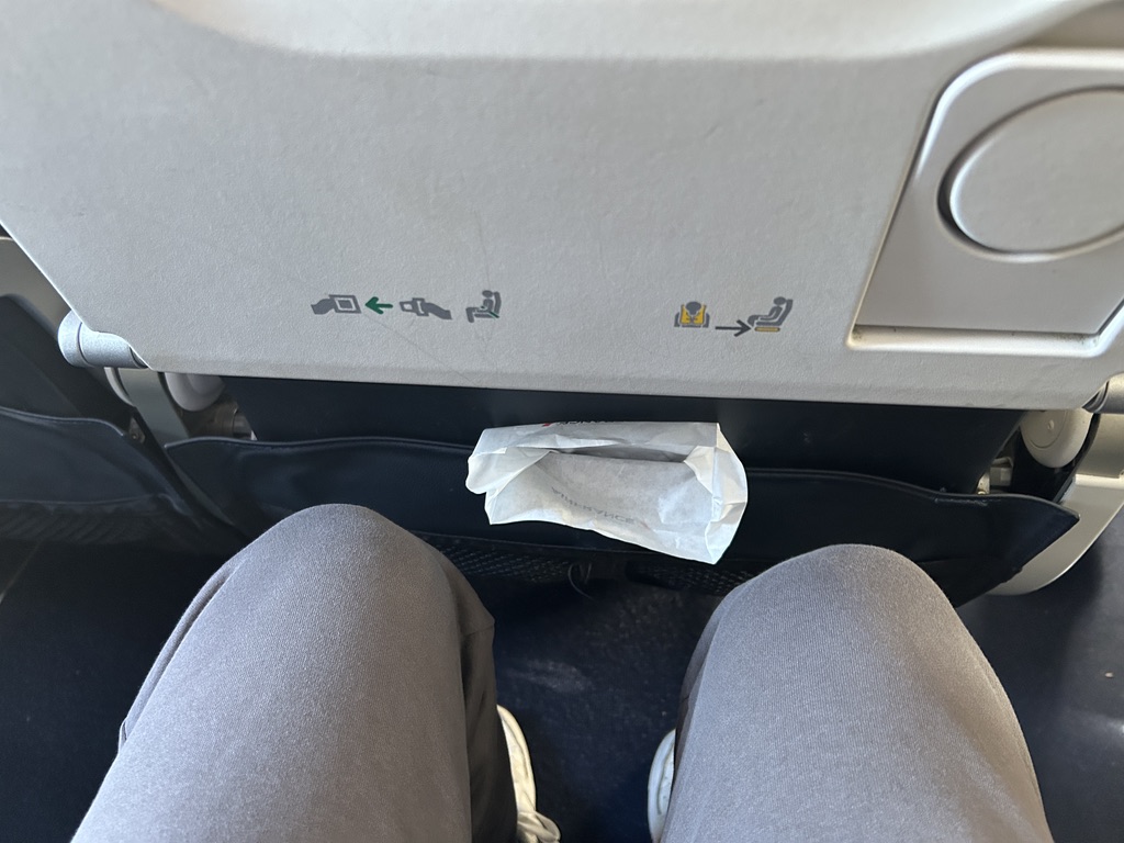 a person's legs in a seat belt