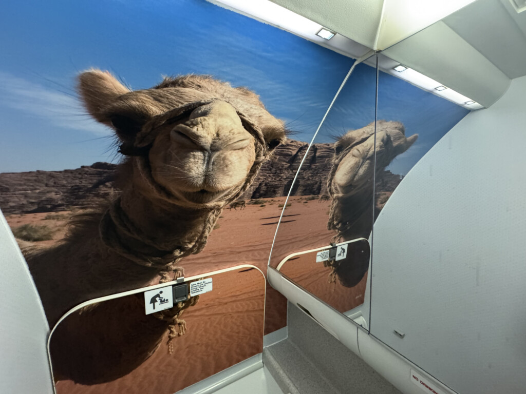 a camel on a wall