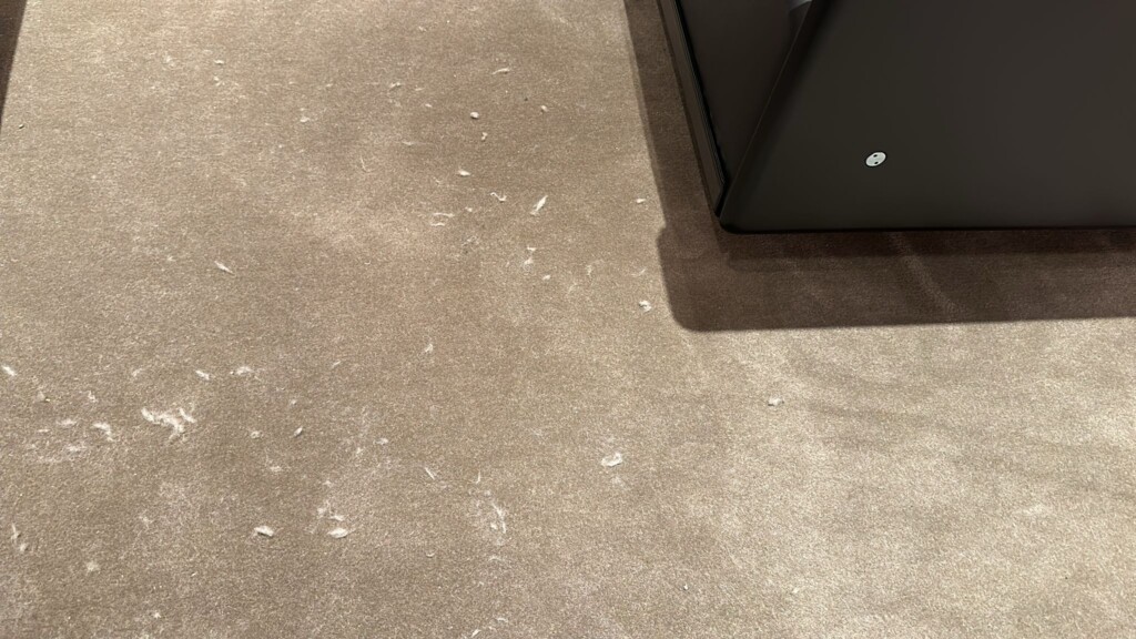 a carpeted floor with a black object