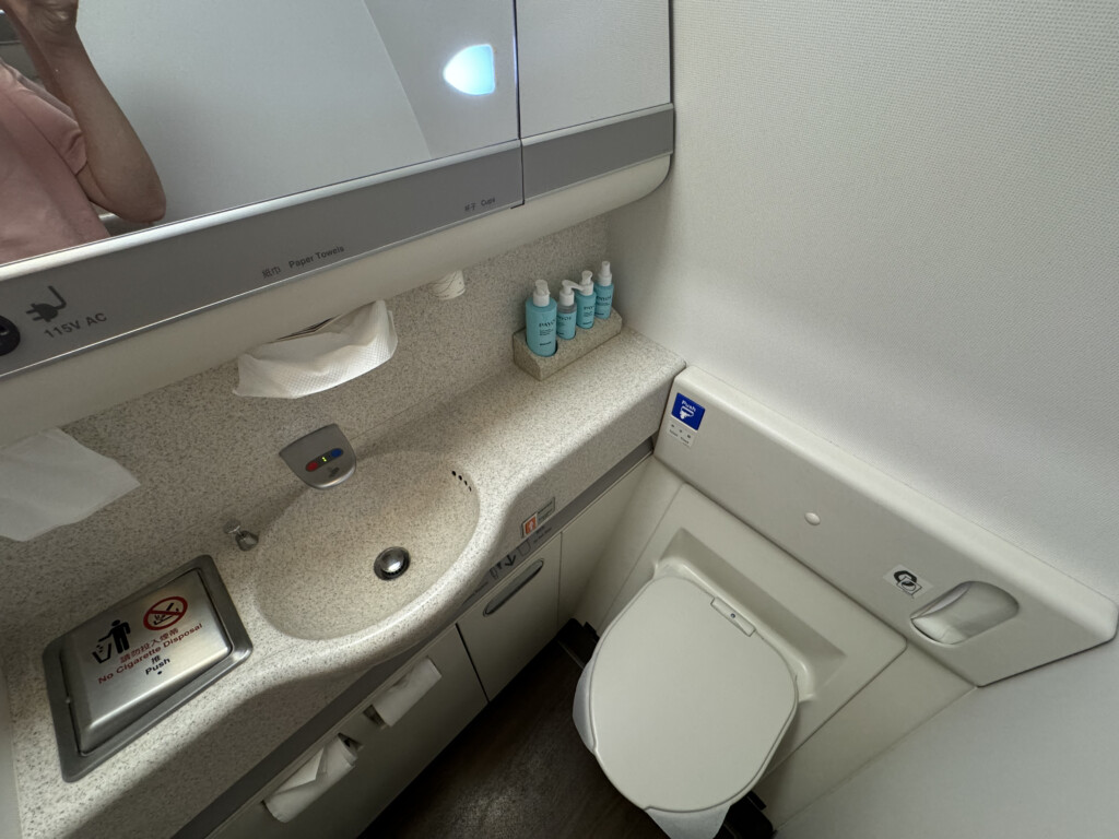 a bathroom with a sink and toilet