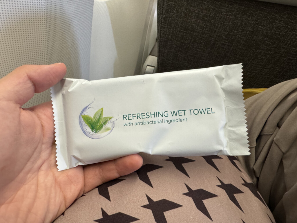 a hand holding a wet towel