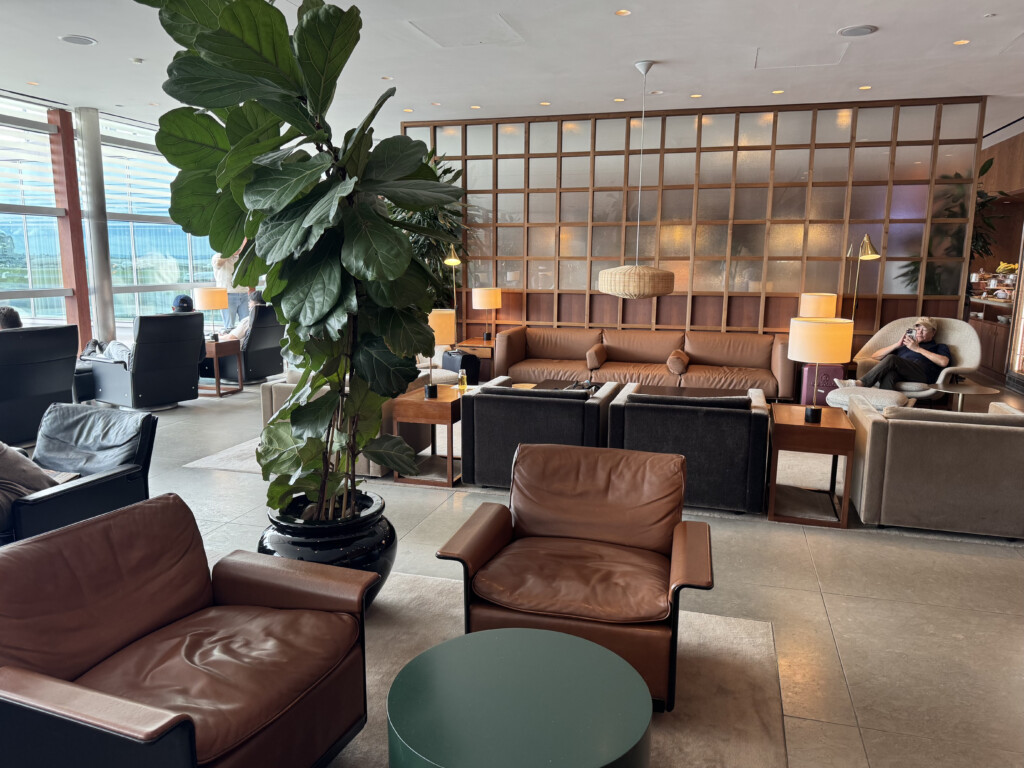 a room with a large plant and chairs