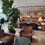 a room with a large plant and chairs