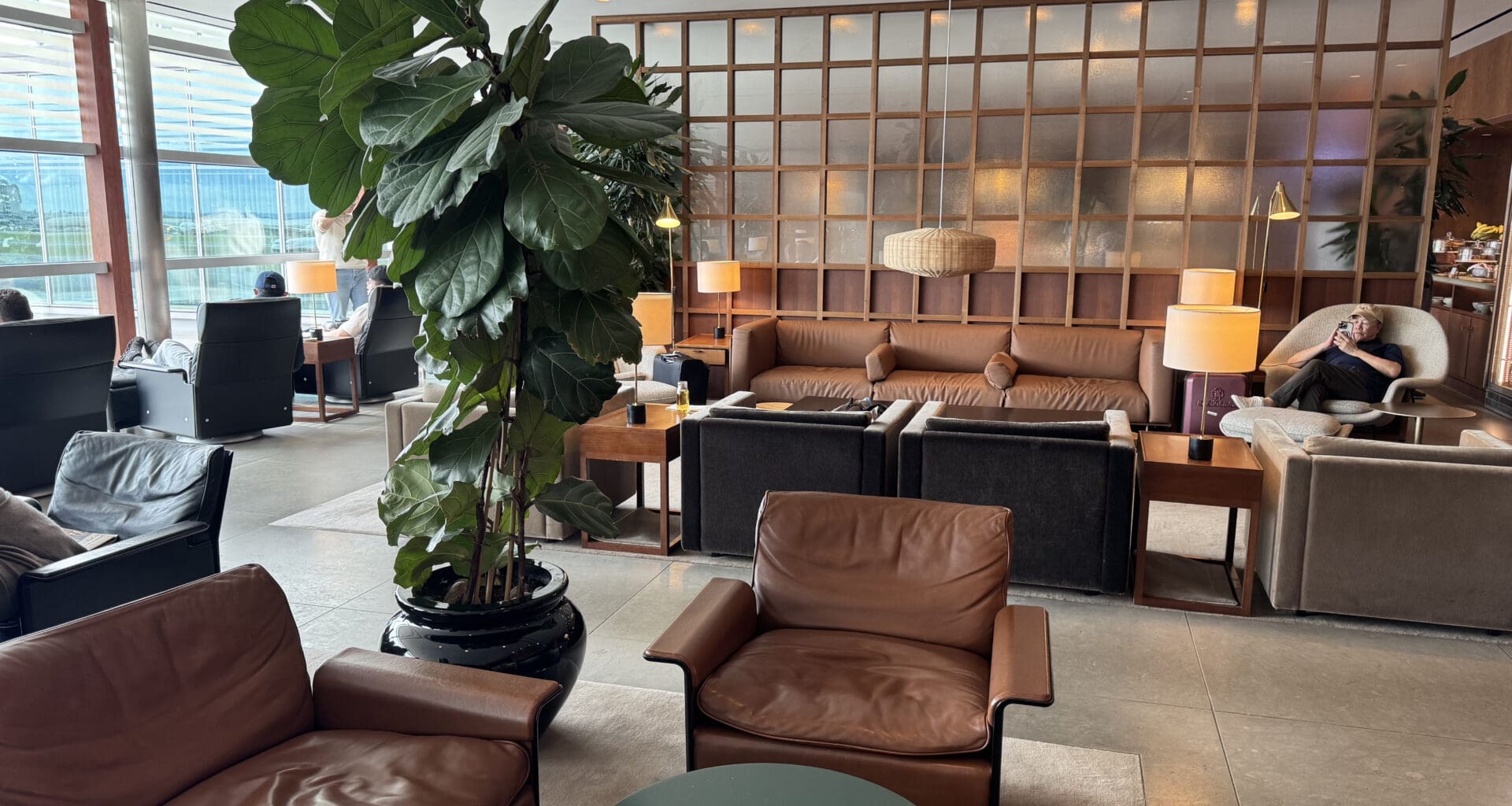 a room with a large plant and chairs