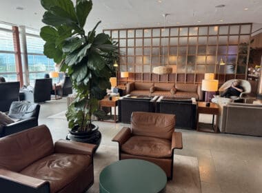 a room with a large plant and chairs