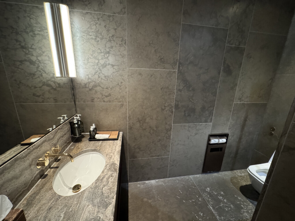 a bathroom with a sink and toilet