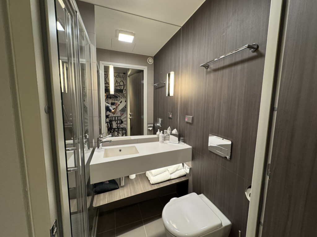 a bathroom with a sink and toilet