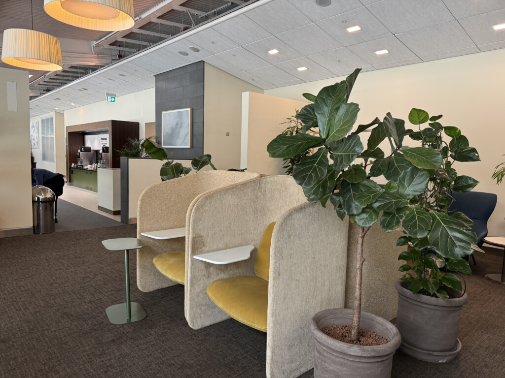 a room with chairs and potted plants