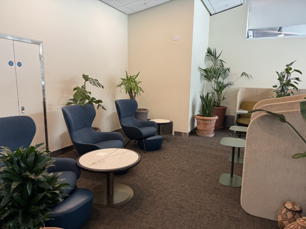 a room with chairs and tables and plants