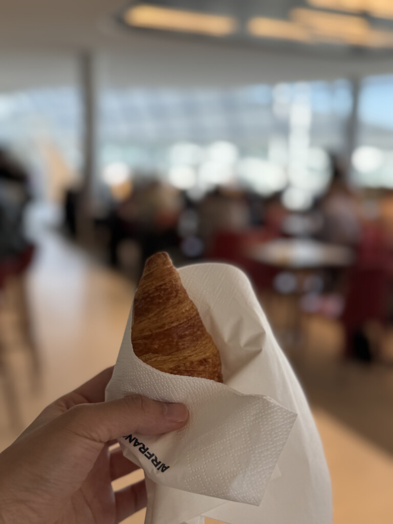 a hand holding a croissant