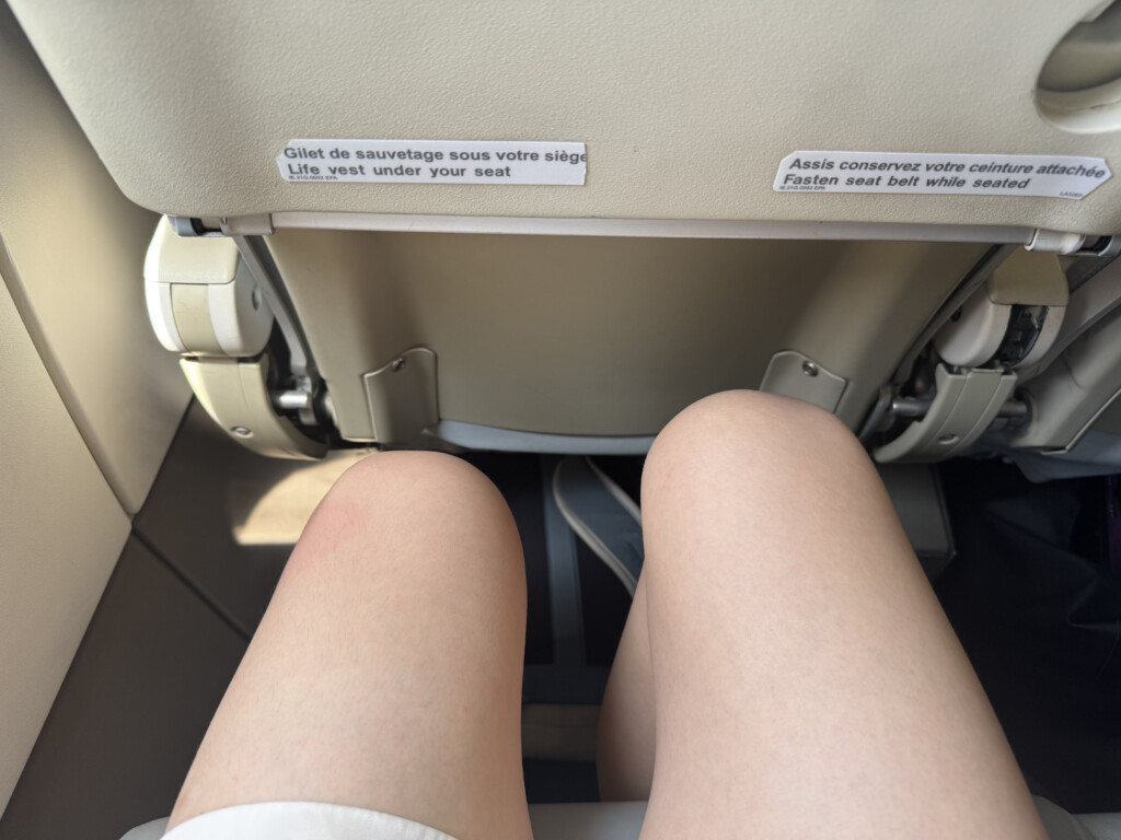 a person's legs in a plane