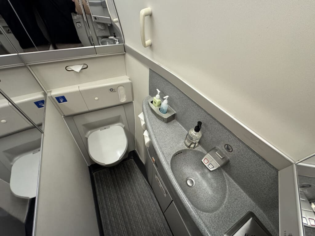 a bathroom with a sink and toilet