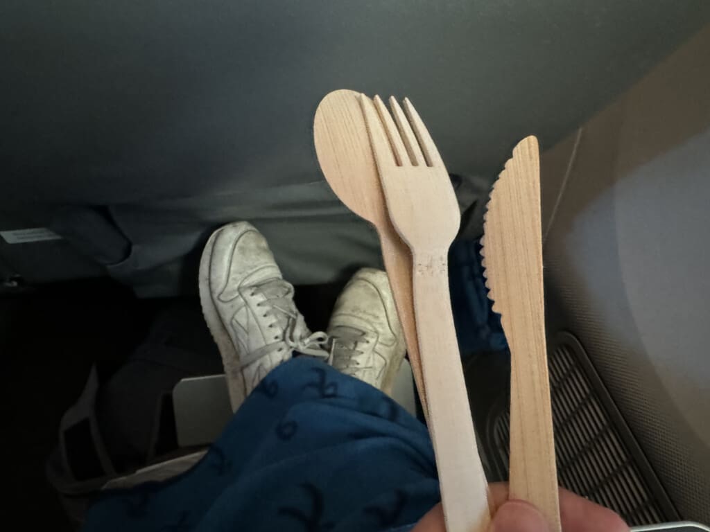 a person holding a wooden spoon and fork