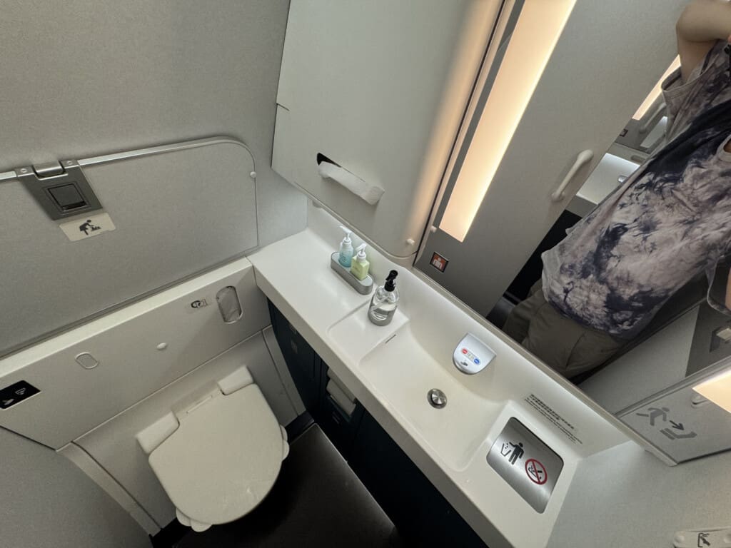 a bathroom with a sink and toilet