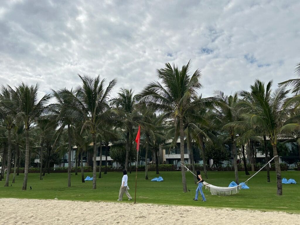 people on a beach with palm trees and a hammock